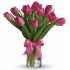 Valentine Precious Pink Tulips 
